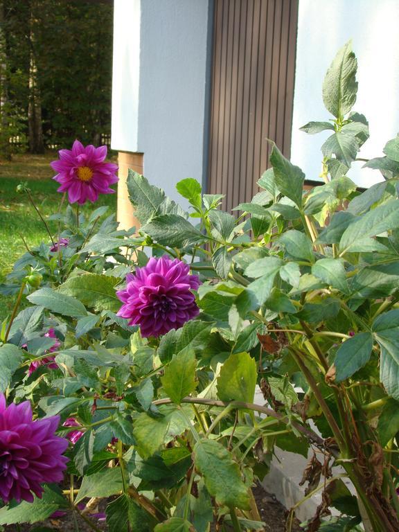 Bobrowa Dolina Bed & Breakfast Ryn  Bagian luar foto